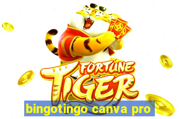 bingotingo canva pro